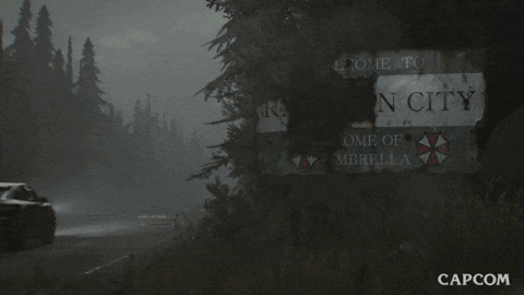 Returning to Raccoon City