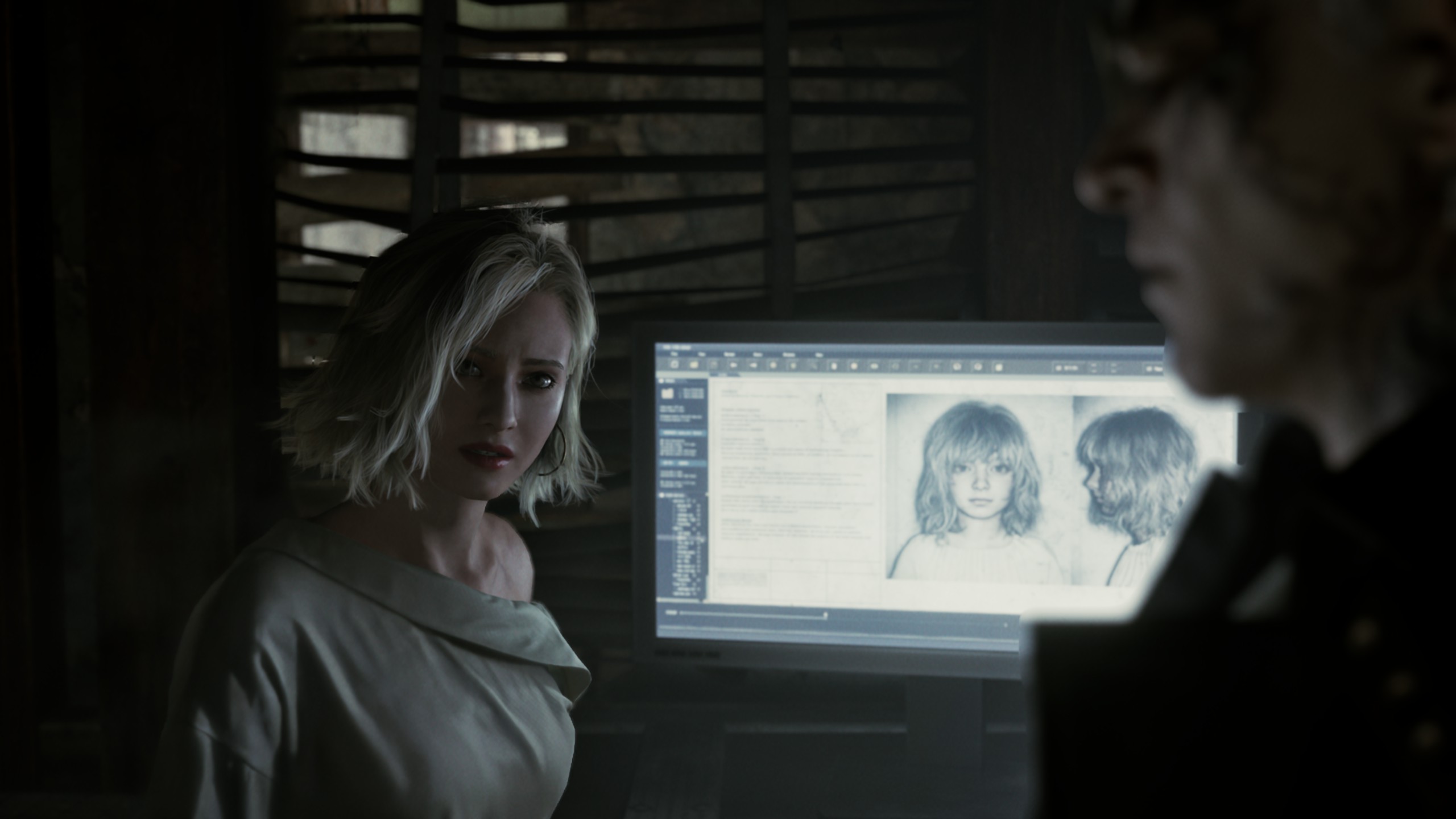 Raccoon City Revelations